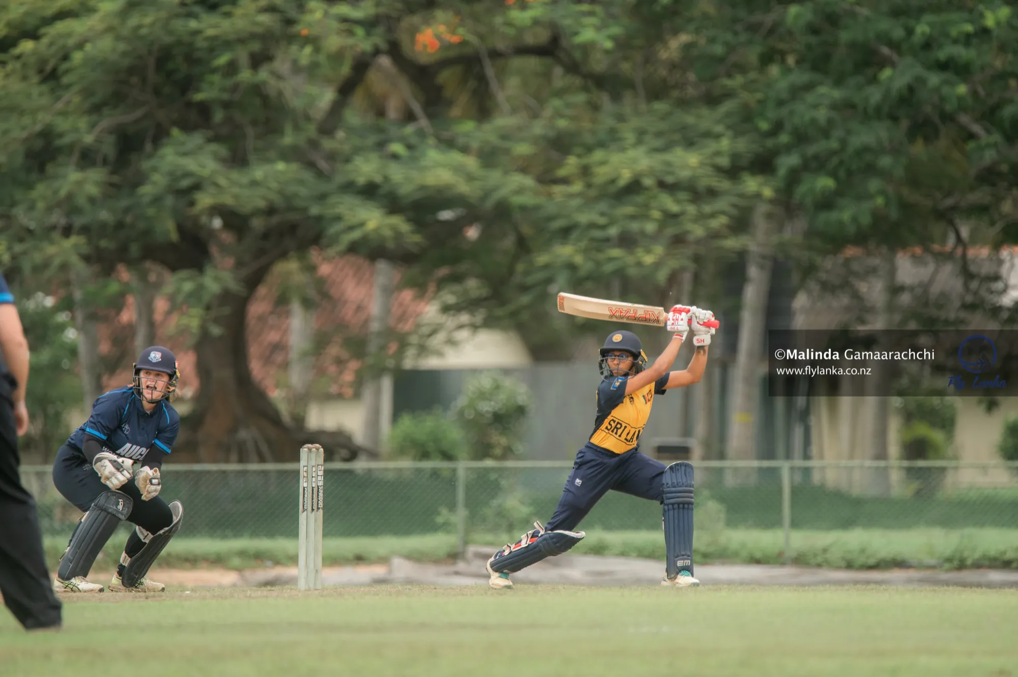 A Sri Lanka A batter drives with the Auckland University keeper crouched behind the stumps